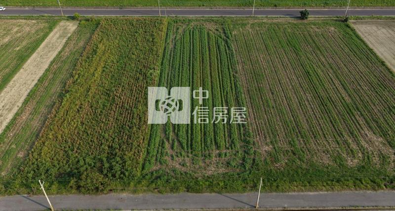 七股竹子港前後臨路10米2分7美農地房屋室內格局與周邊環境
