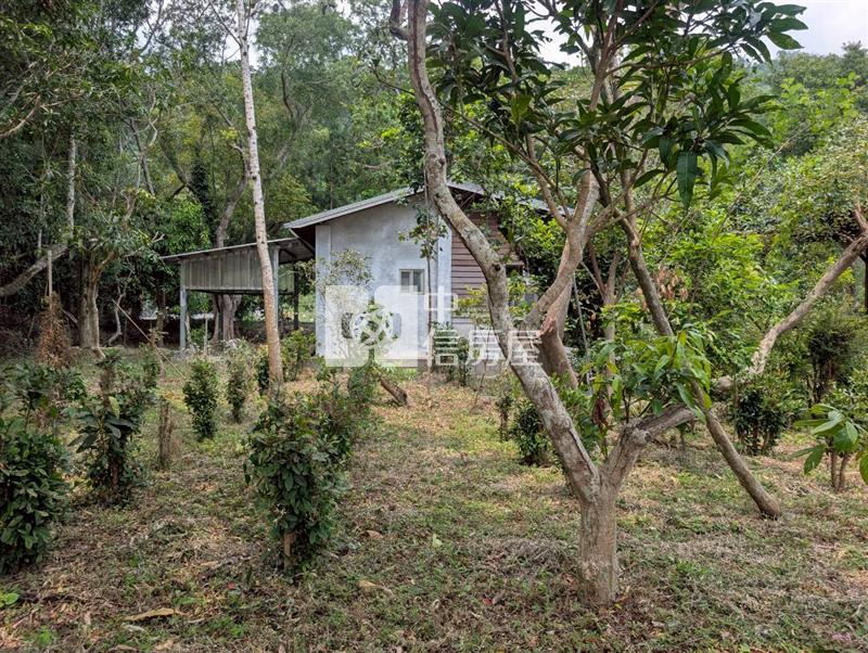 K1-13鹿野大坪數農業加工室房屋室內格局與周邊環境