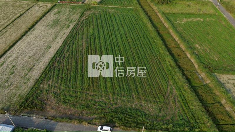 七股竹子港2分1美農地房屋室內格局與周邊環境