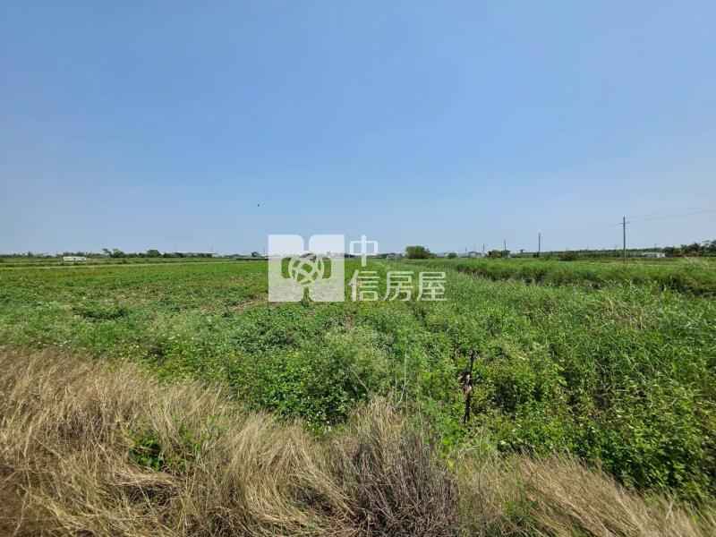 七股竹子港2分1美農地房屋室內格局與周邊環境