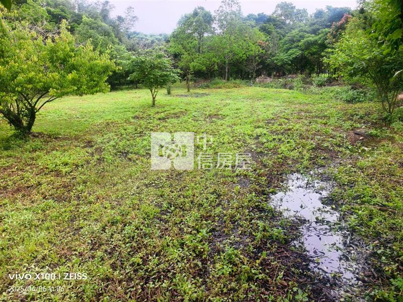 大溪66快速道路交流道農加建房屋室內格局與周邊環境