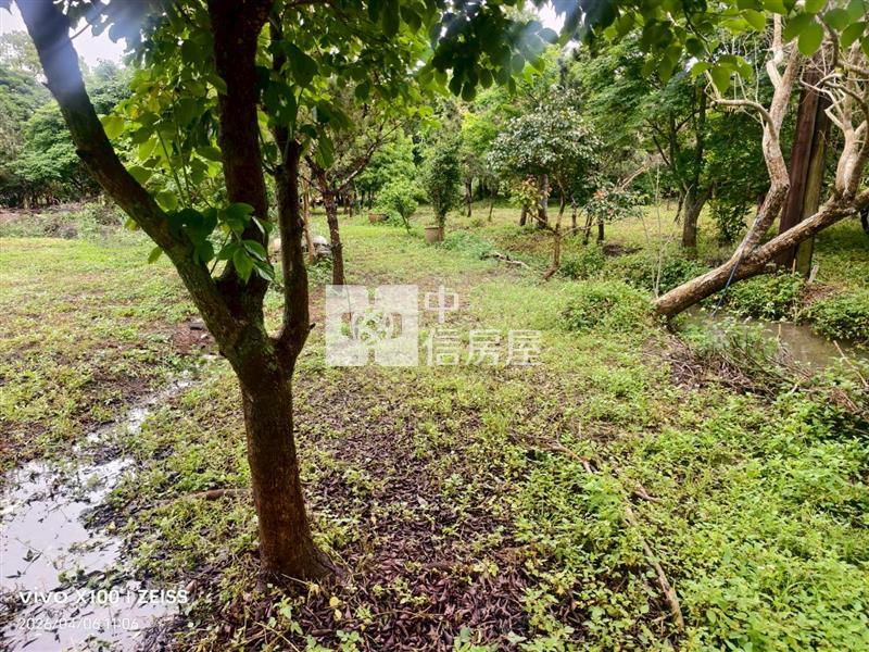 大溪66快速道路交流道農加建房屋室內格局與周邊環境