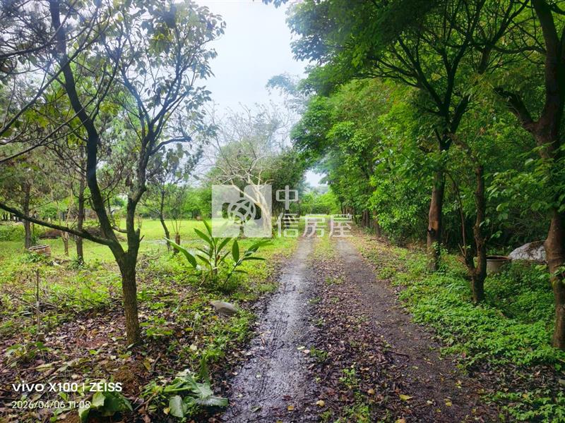 大溪66快速道路交流道農加建房屋室內格局與周邊環境