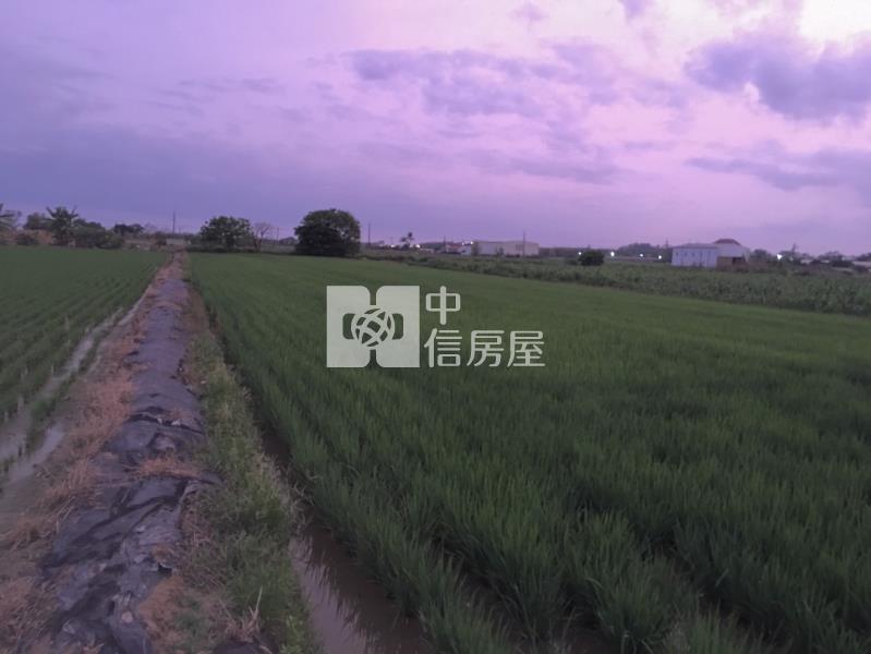 善化近茄拔社區便宜農地房屋室內格局與周邊環境