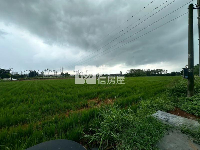 中央大學漂亮農地房屋室內格局與周邊環境