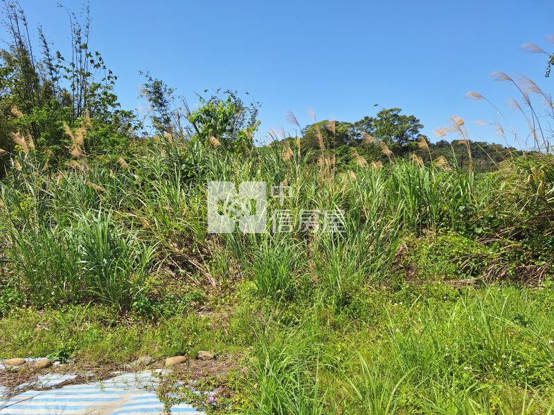 大溪丙建B房屋室內格局與周邊環境