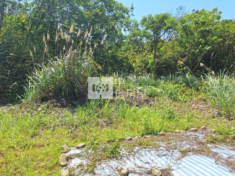 大溪丙建B房屋室內格局與周邊環境