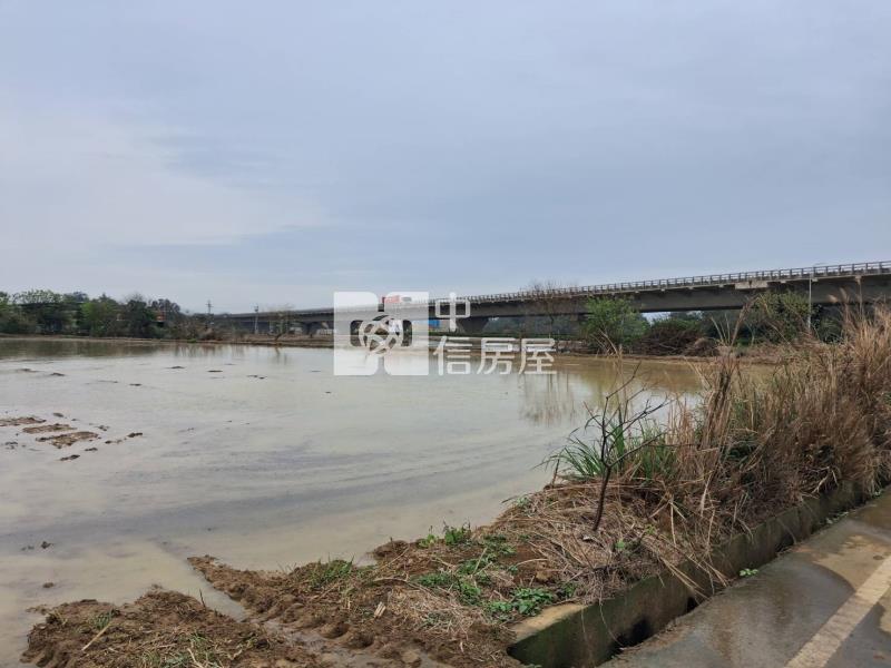 新屋 近綠色走廊一般農房屋室內格局與周邊環境