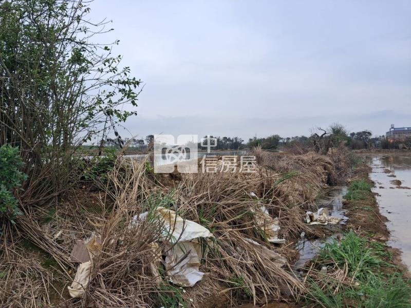 新屋 近綠色走廊一般農房屋室內格局與周邊環境