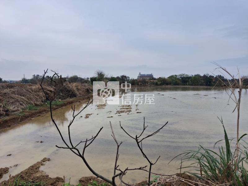新屋 近綠色走廊一般農房屋室內格局與周邊環境