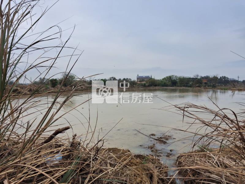 新屋 近綠色走廊一般農房屋室內格局與周邊環境