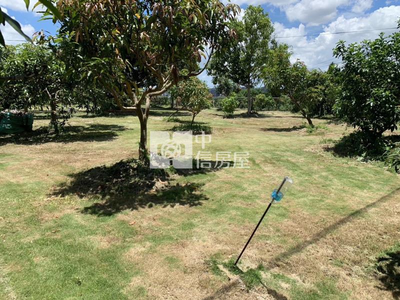 太平華盛頓景觀花園農地~有合法資材室.地平坦.8米路.車進出方便房屋室內格局與周邊環境