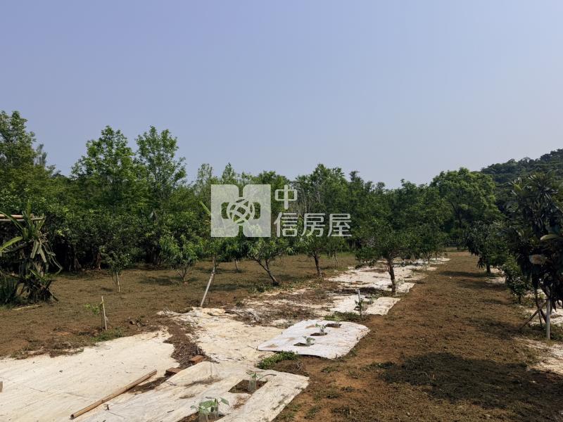 【安家】新竹縣九芎湖農場休閒美農地C房屋室內格局與周邊環境