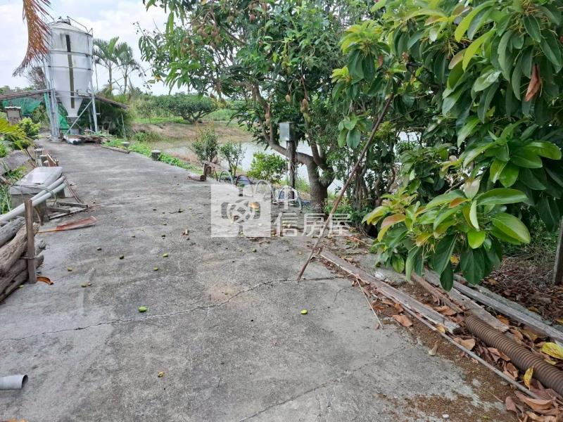 新營優質8.38分農地房屋室內格局與周邊環境