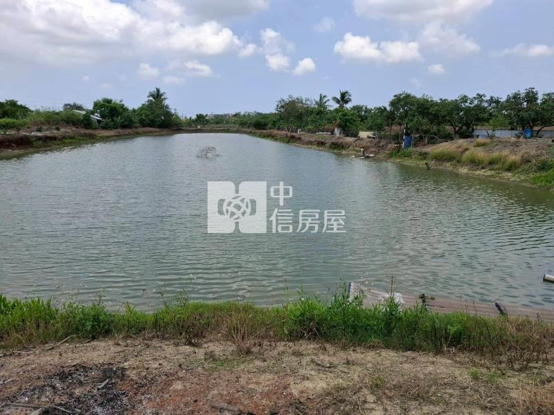 新營優質8.38分農地房屋室內格局與周邊環境