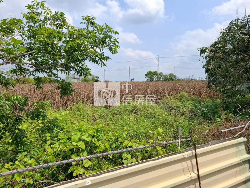 新營優質8.38分農地房屋室內格局與周邊環境