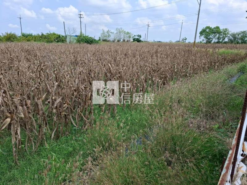 新營優質8.38分農地房屋室內格局與周邊環境