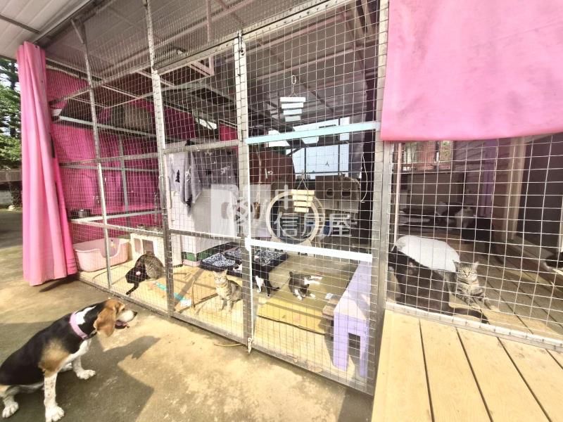 渴望園區美式獨棟別墅房屋室內格局與周邊環境