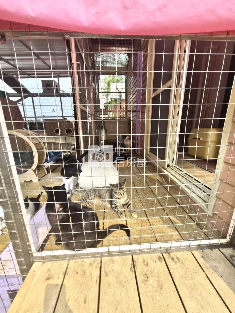 渴望園區美式獨棟別墅房屋室內格局與周邊環境