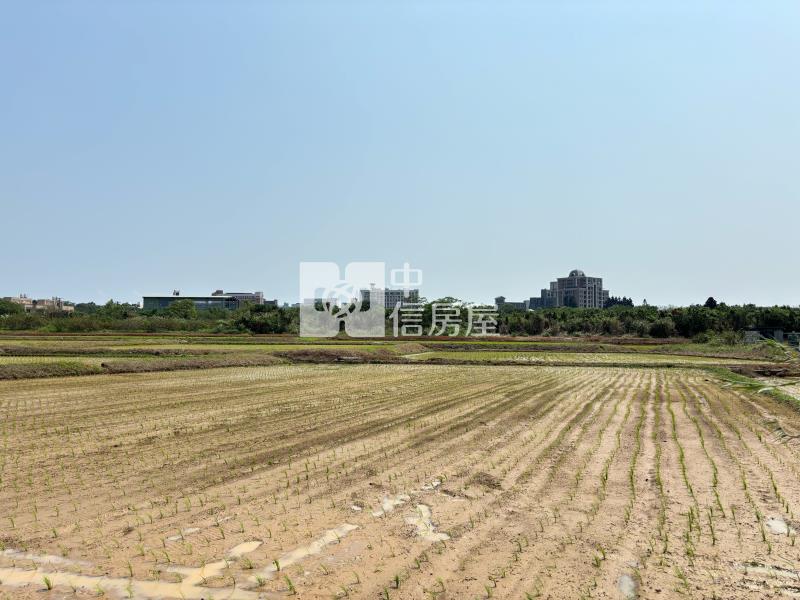 中央大學都內農房屋室內格局與周邊環境