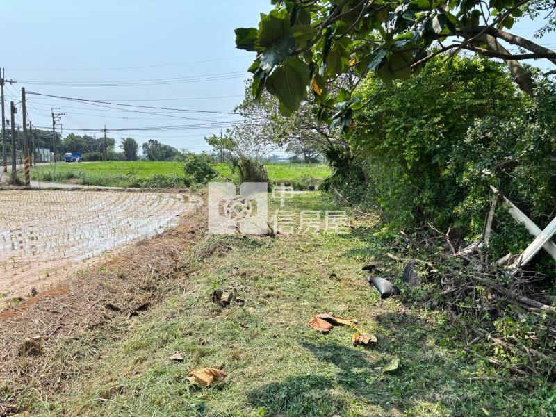 中央大學都內農房屋室內格局與周邊環境