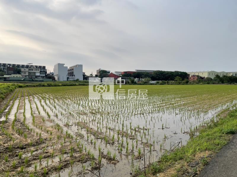 【安家】中壢區山上段農地房屋室內格局與周邊環境