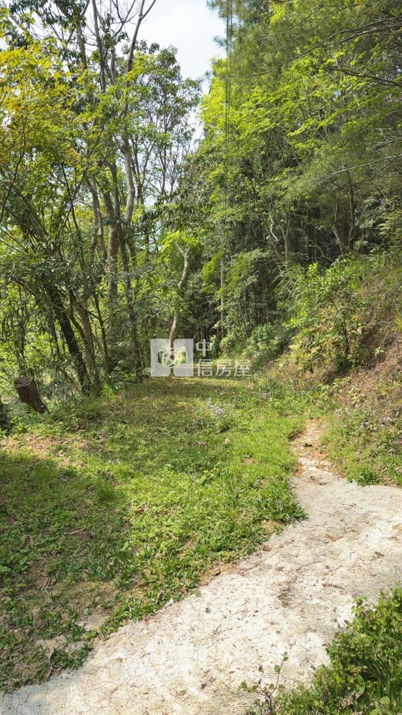 新竹五峰山坡原保地A(農地)房屋室內格局與周邊環境