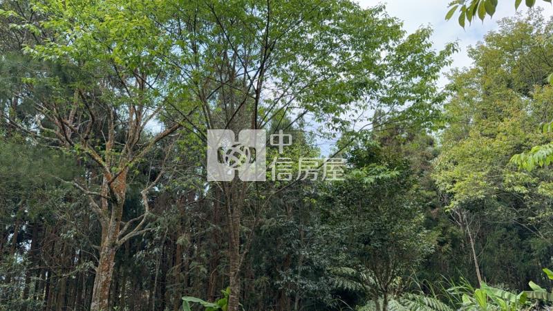 新竹五峰山坡原保地A(農地)房屋室內格局與周邊環境