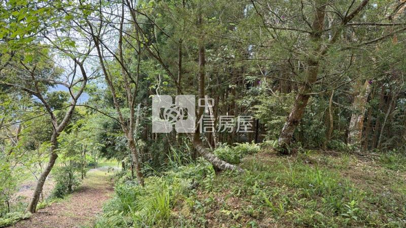 新竹五峰山坡原保地A(農地)房屋室內格局與周邊環境