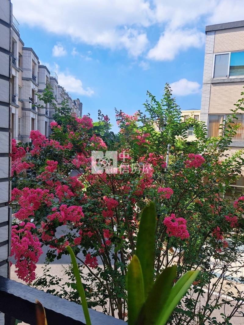 楊梅菁英美別墅房屋室內格局與周邊環境