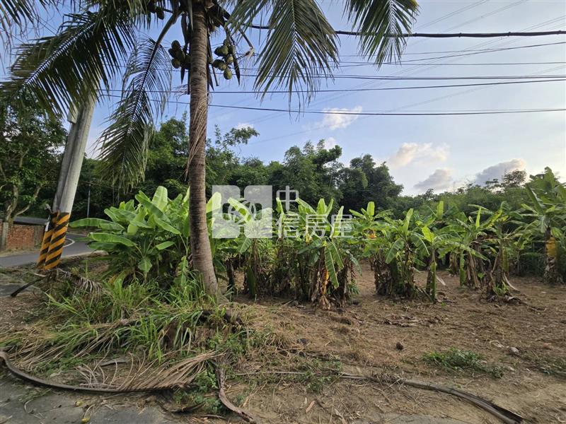 高雄大社方正農地房屋室內格局與周邊環境