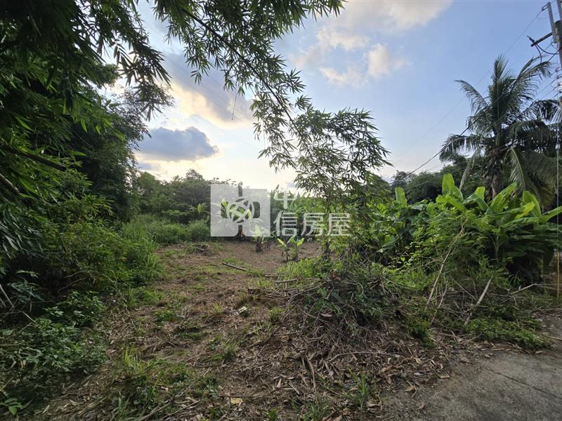 高雄大社方正農地房屋室內格局與周邊環境