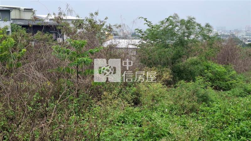 霧峰超值便宜建地房屋室內格局與周邊環境