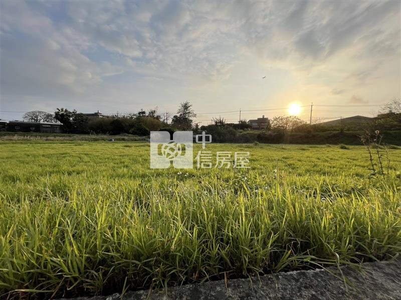 【安家】近青埔A19山東美農地房屋室內格局與周邊環境