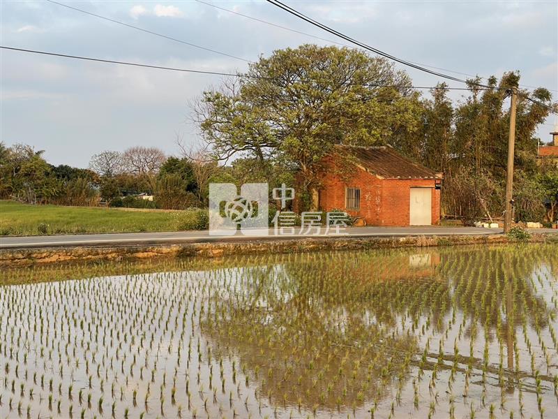 【安家】近青埔A19山東美農地房屋室內格局與周邊環境
