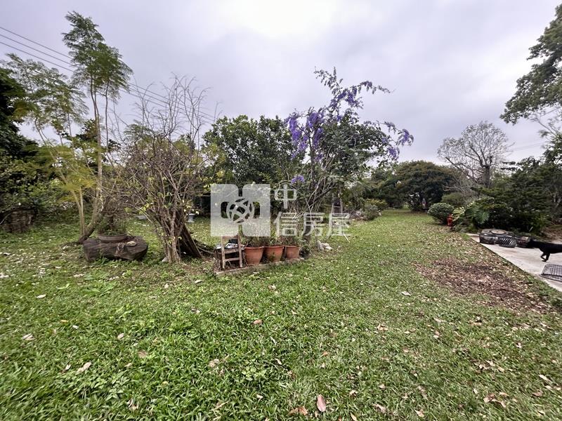 大內物超所值買4分果園送平房房屋室內格局與周邊環境