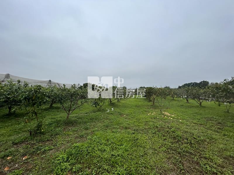 大內物超所值買4分果園送平房房屋室內格局與周邊環境