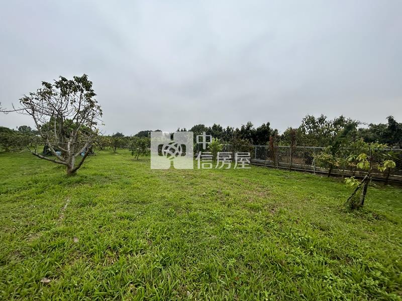 大內物超所值買4分果園送平房房屋室內格局與周邊環境