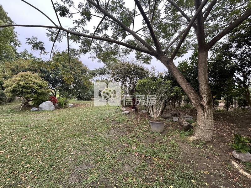 大內物超所值買4分果園送平房房屋室內格局與周邊環境