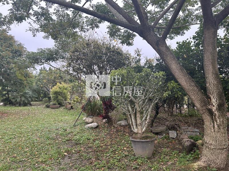 大內物超所值買4分果園送平房房屋室內格局與周邊環境