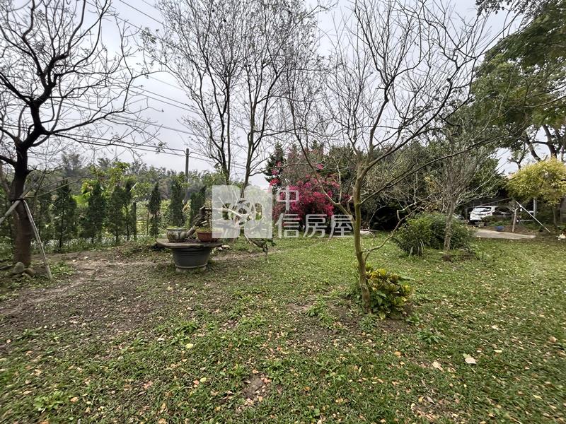 大內物超所值買4分果園送平房房屋室內格局與周邊環境