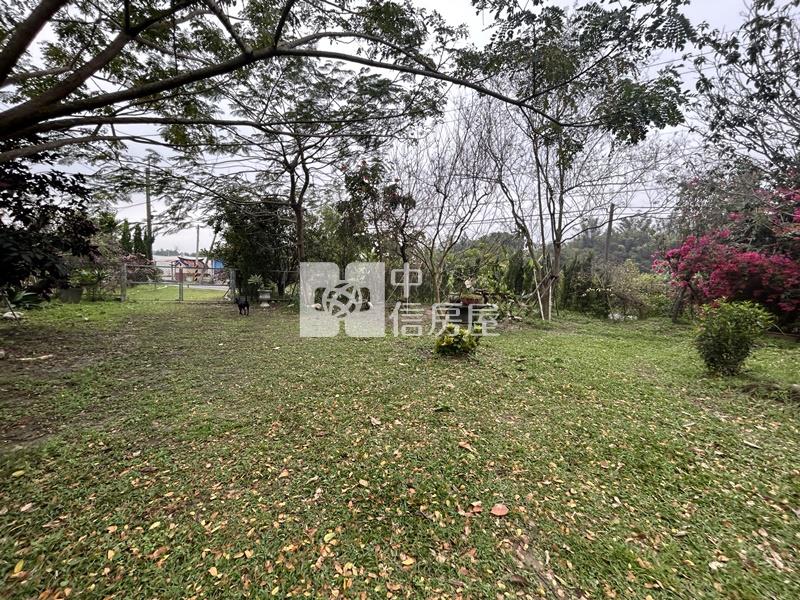 大內物超所值買4分果園送平房房屋室內格局與周邊環境