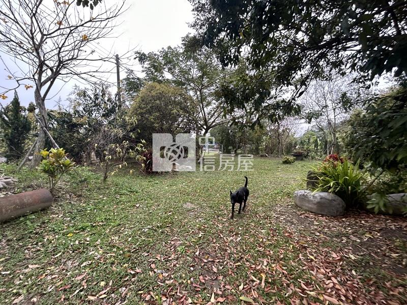 大內物超所值買4分果園送平房房屋室內格局與周邊環境