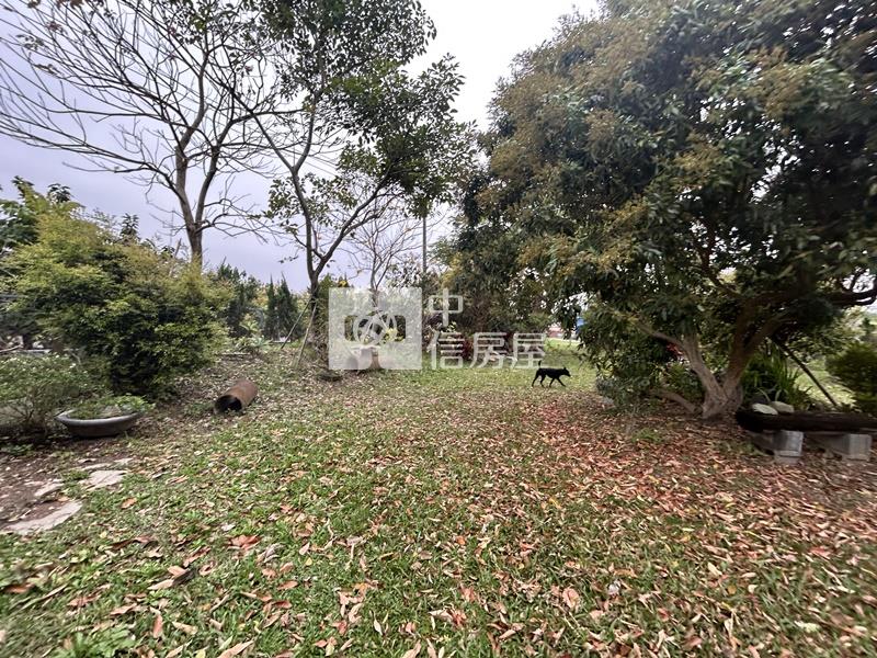 大內物超所值買4分果園送平房房屋室內格局與周邊環境