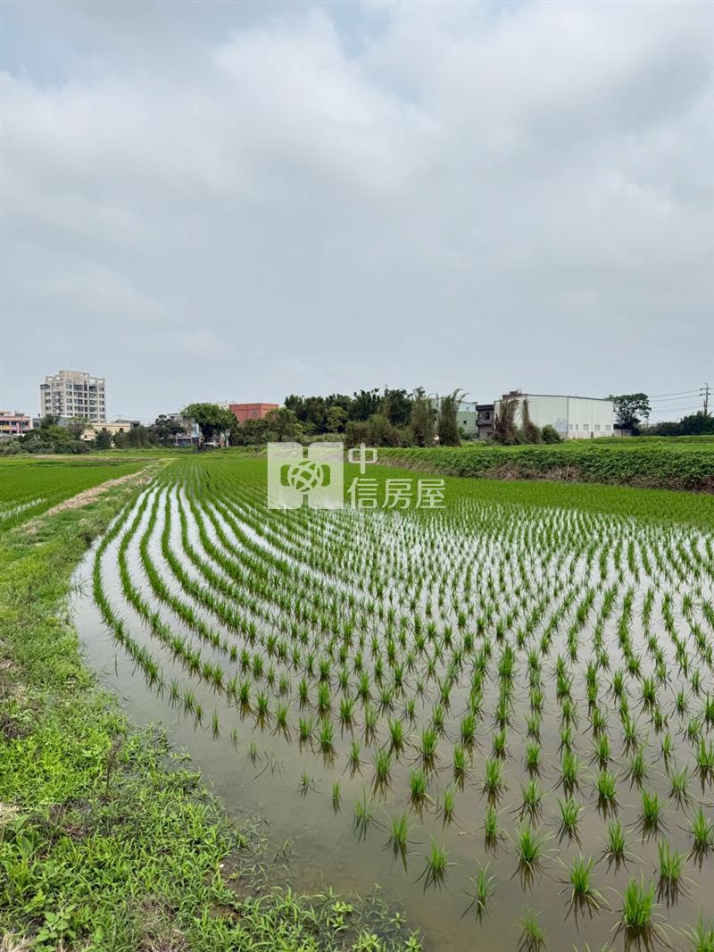 觀音區新坡南側都市計劃地房屋室內格局與周邊環境