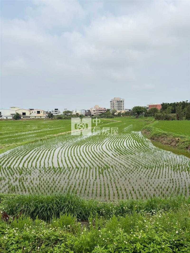 觀音區新坡南側都市計劃地房屋室內格局與周邊環境
