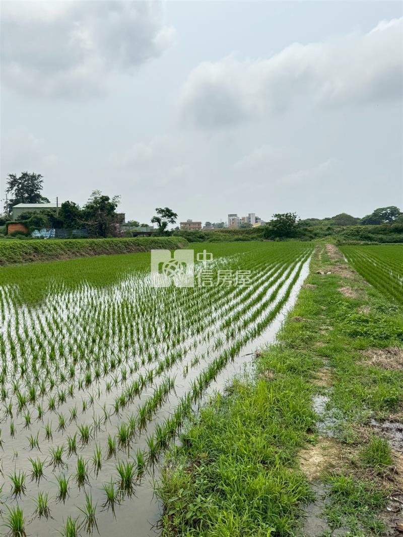 觀音區新坡南側都市計劃地房屋室內格局與周邊環境