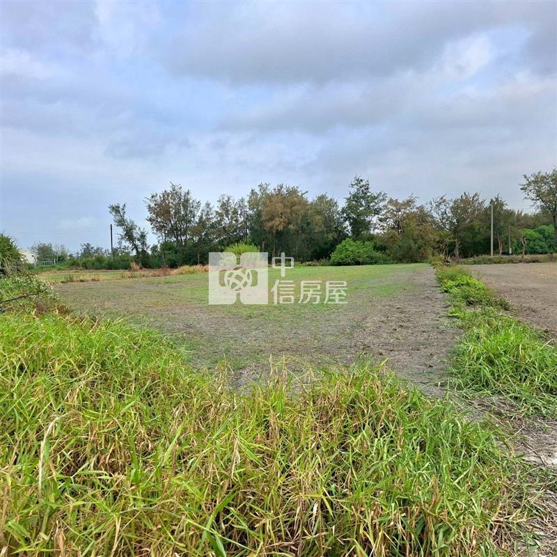 四湖大路腳農地房屋室內格局與周邊環境