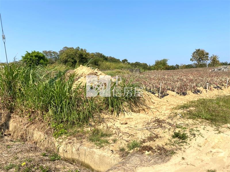 關廟深坑國小2.6分農地房屋室內格局與周邊環境