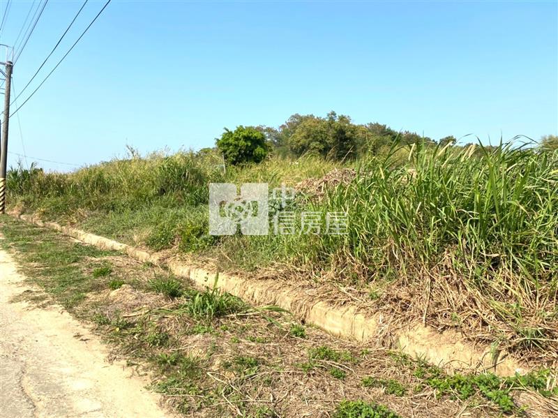 關廟深坑國小2.6分農地房屋室內格局與周邊環境